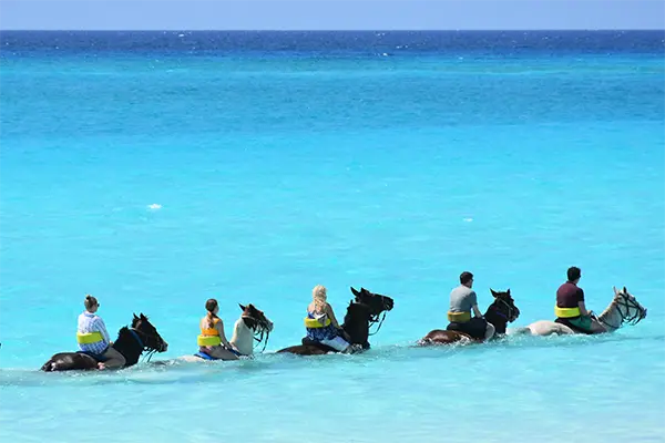 Thing To Do Beach Horseback Rides