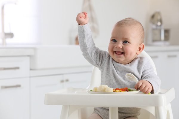 Things To Do Baby Gear Rentals