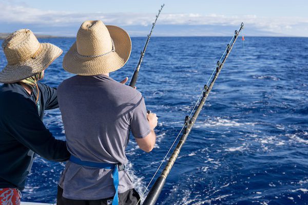 Things To Do In-Shore Fishing Charter