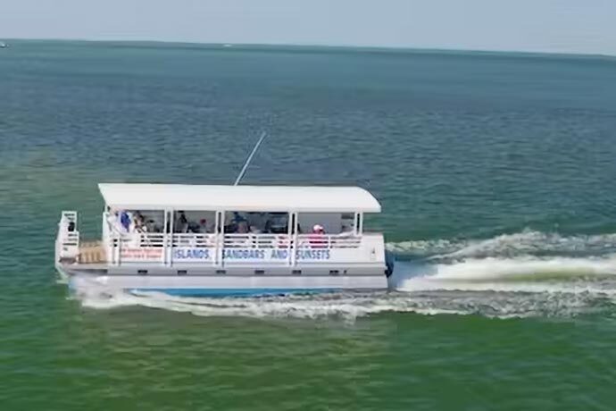 Things To Do Public Dolphin Tour