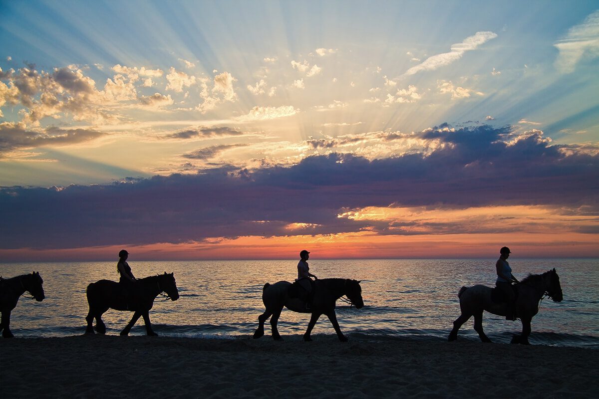 Things To Do Sunset Platinum Excursion