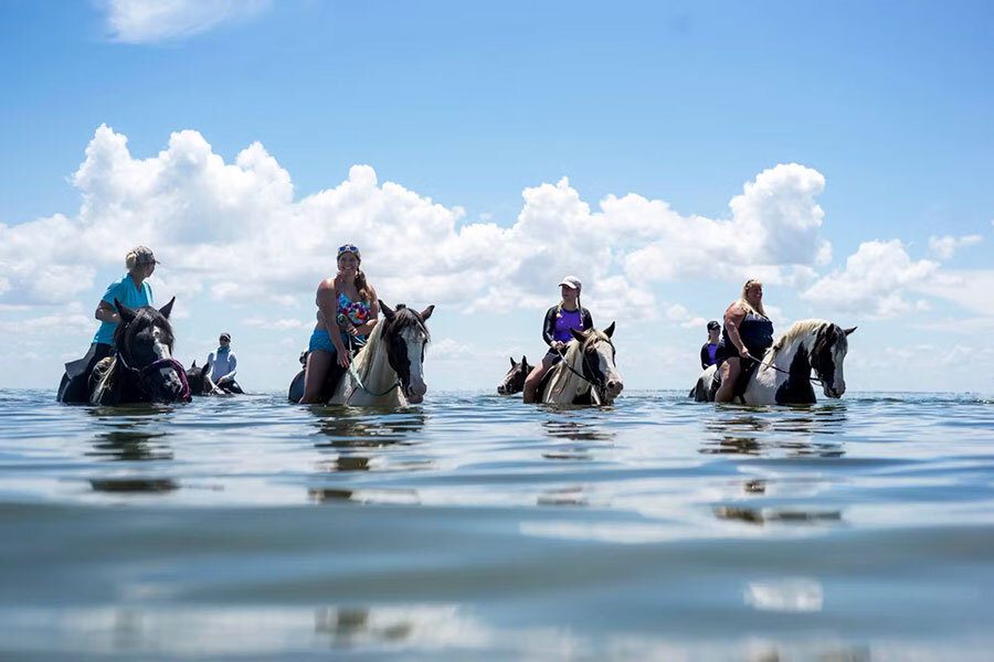 Things To Do Bradenton Platium Excursion